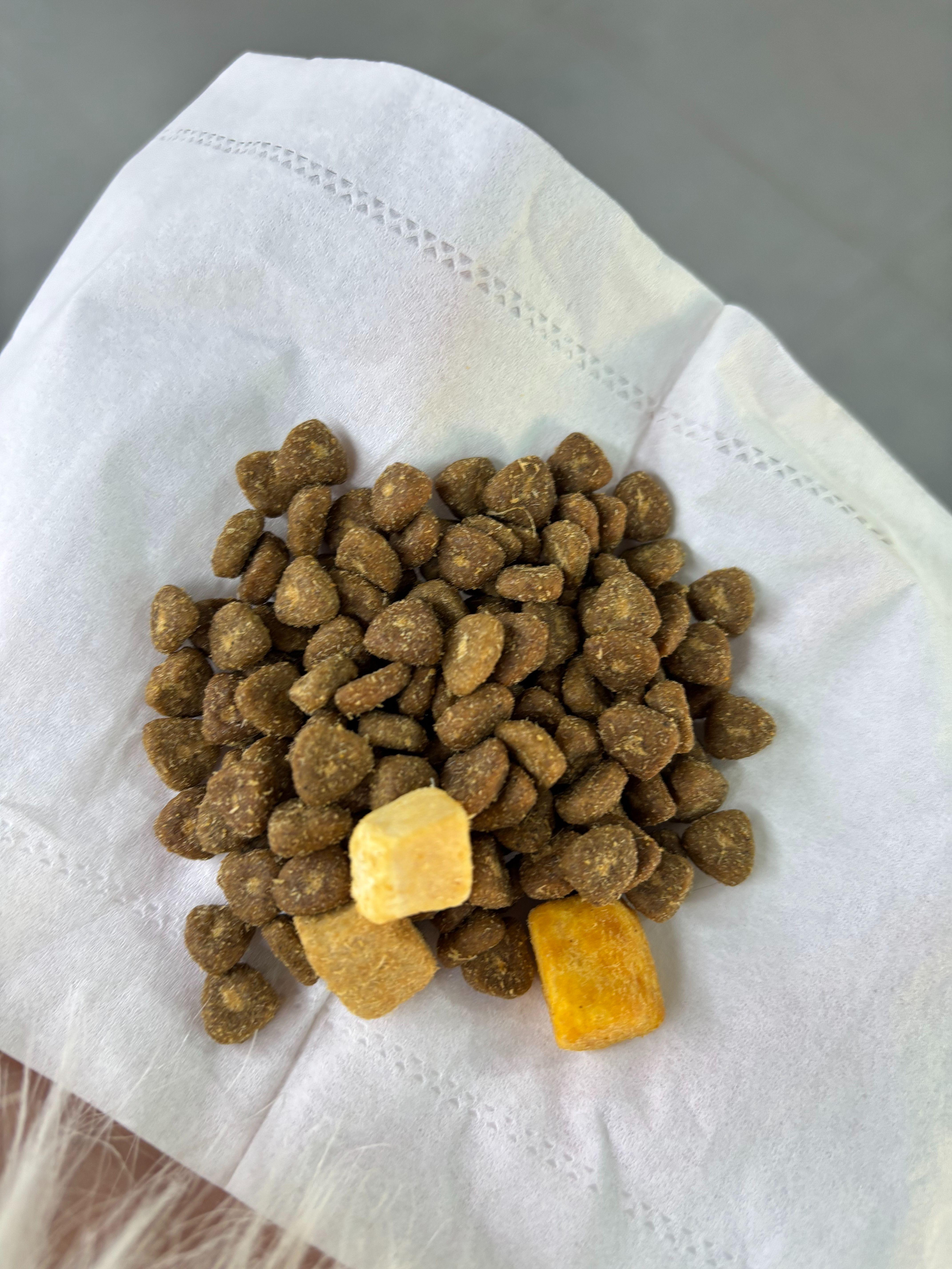 用最少的钱养最能吃的狗子!
