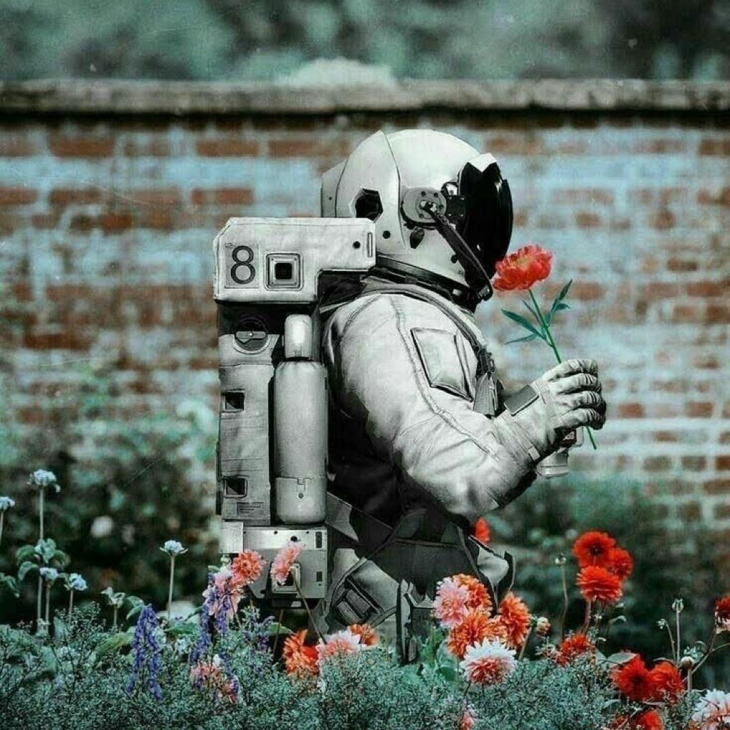 有没有这种宇航员头像呀?好喜欢? - 知乎