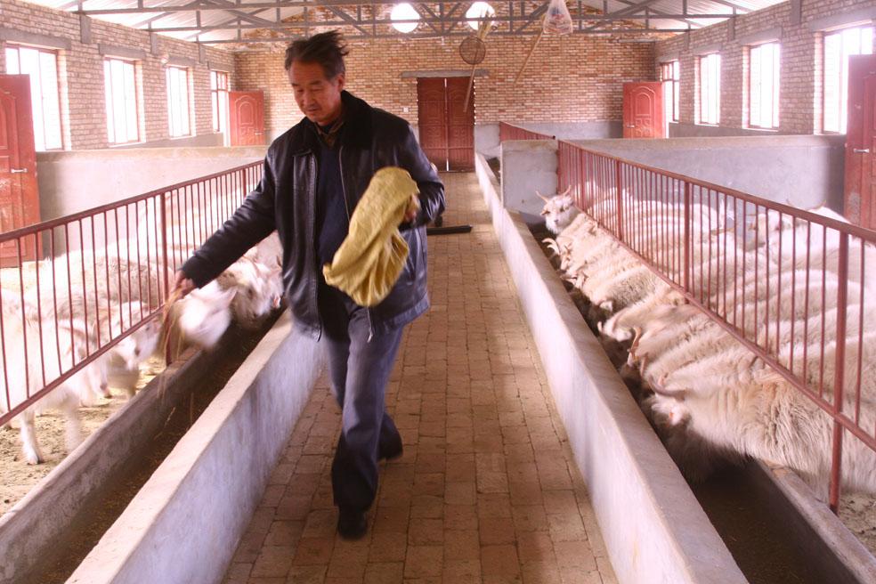 许哲:期权是什么?