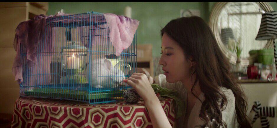 如何评价电影夜孔雀