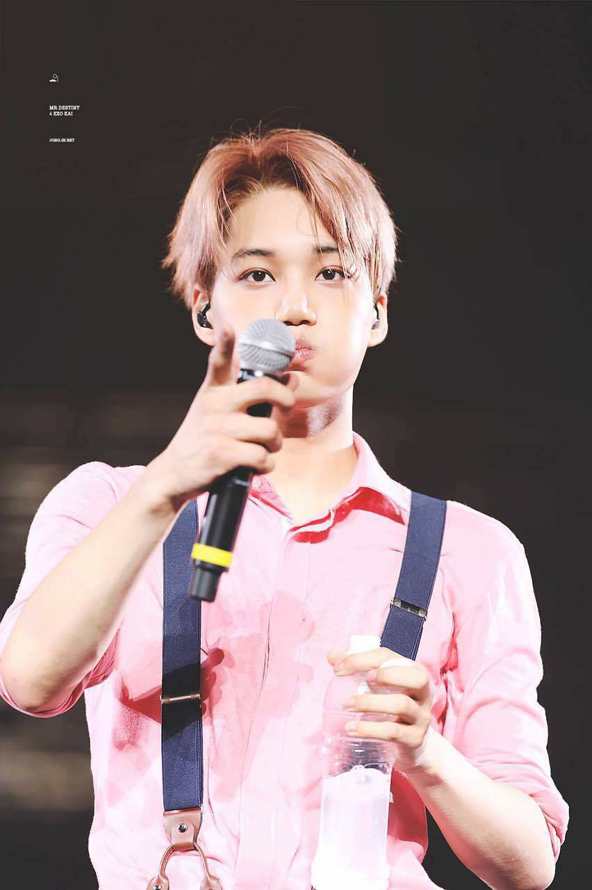 茶蛋exo在演唱会上有哪些可爱的细节