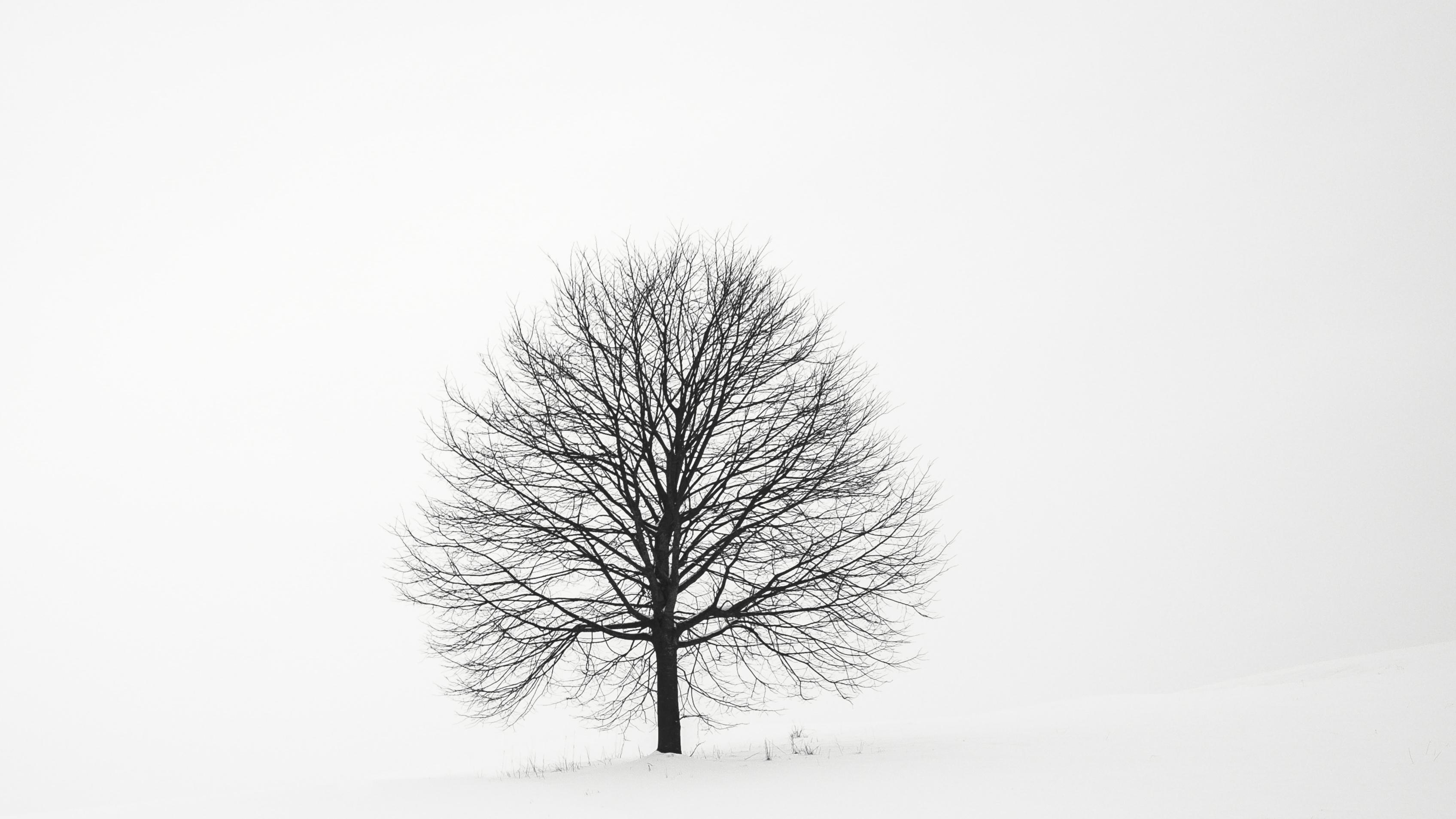 v2-e352f379244a1c602f82b756b707c0f5_r.jpg?source=172ae18b