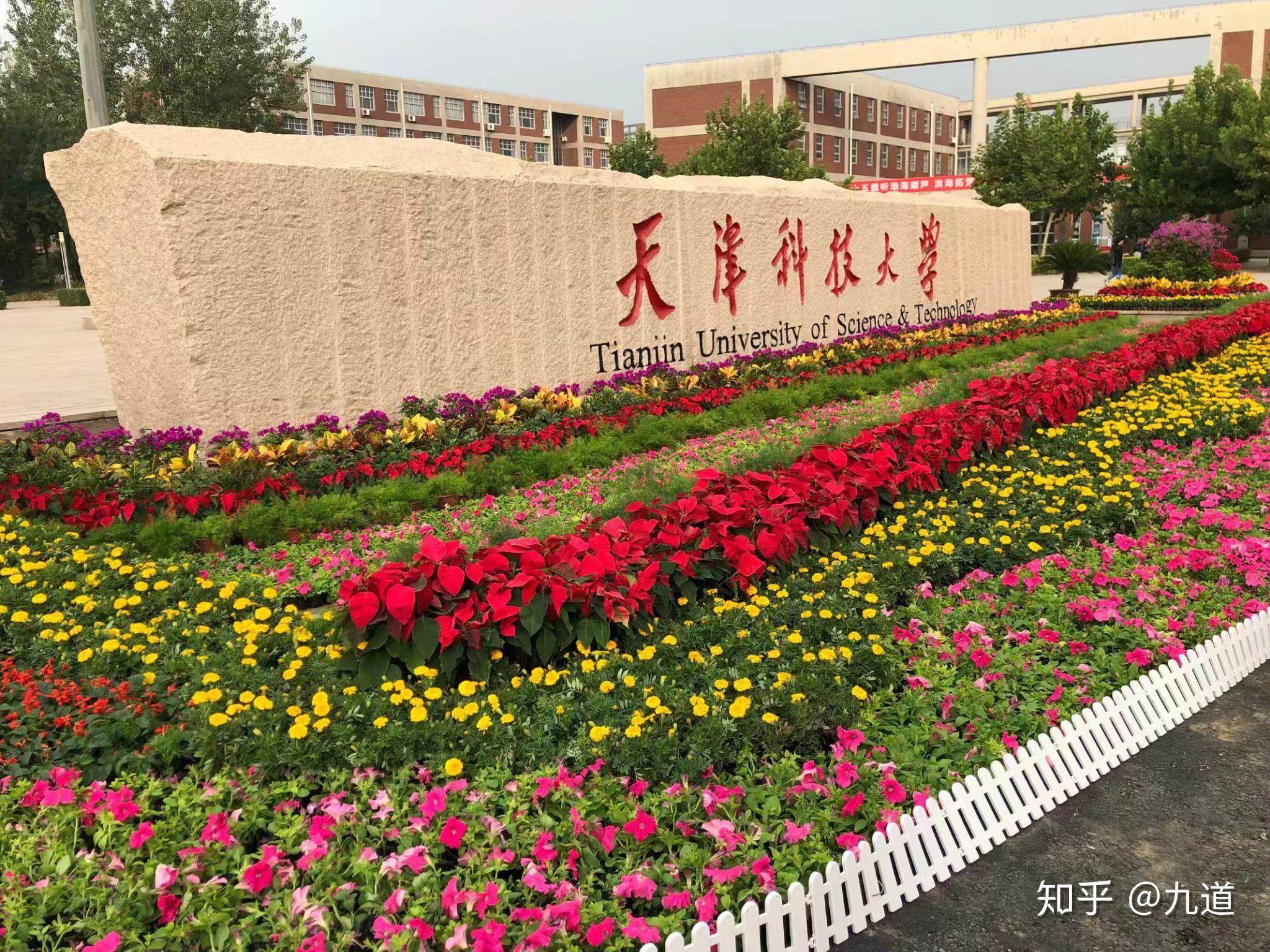 天津科技大学图片校门图片