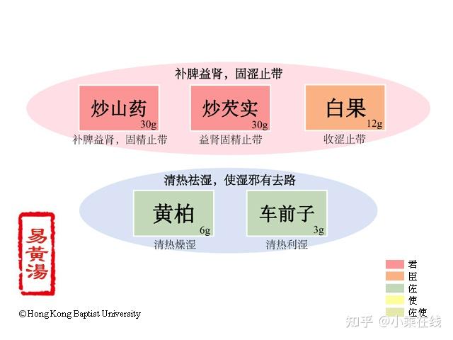 芡实(中药材资料、植物图像、含芡实的中成药) - 知乎