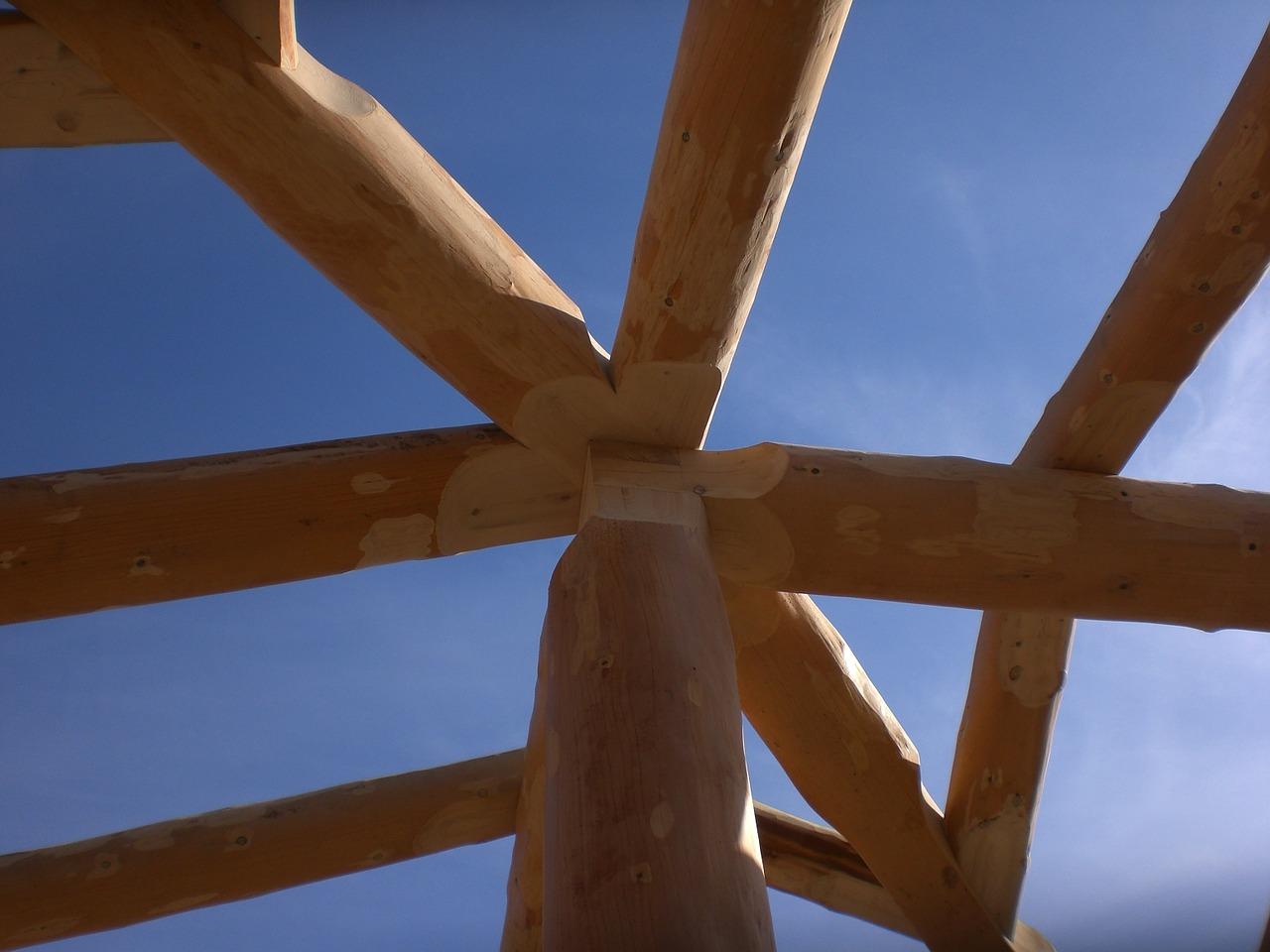 2. 肉肉繁殖方法