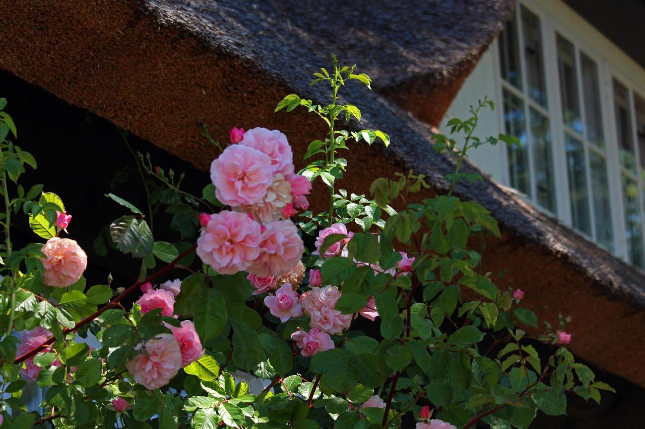 新世界花园交通便捷度