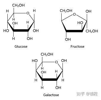 指不能再被简单水解成更小的糖类的分子,最常见的像葡萄糖,果糖,半