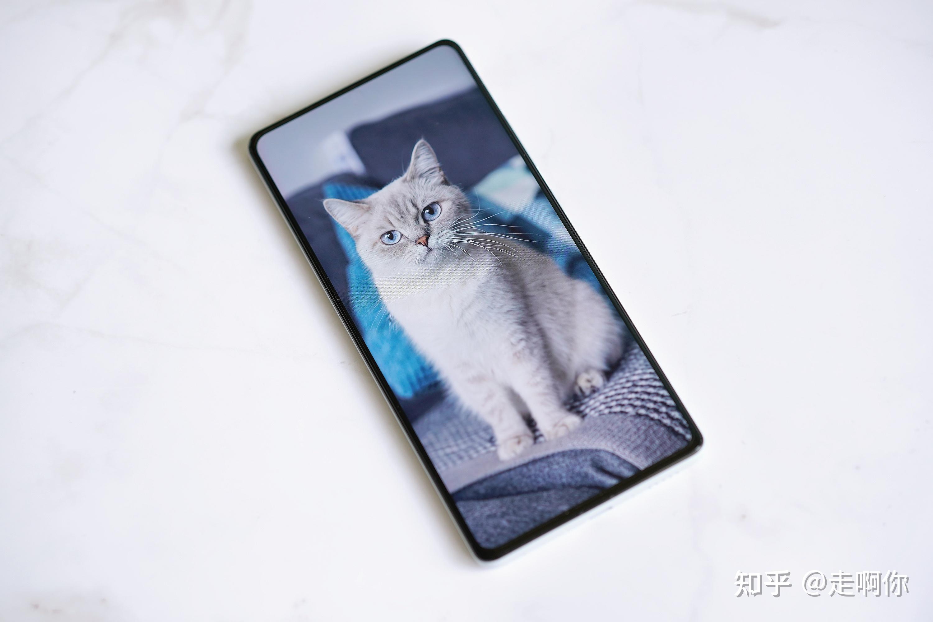 处理器产商有高通骁龙,华为麒麟,联发科天玑,苹果a系列,三星猎户座