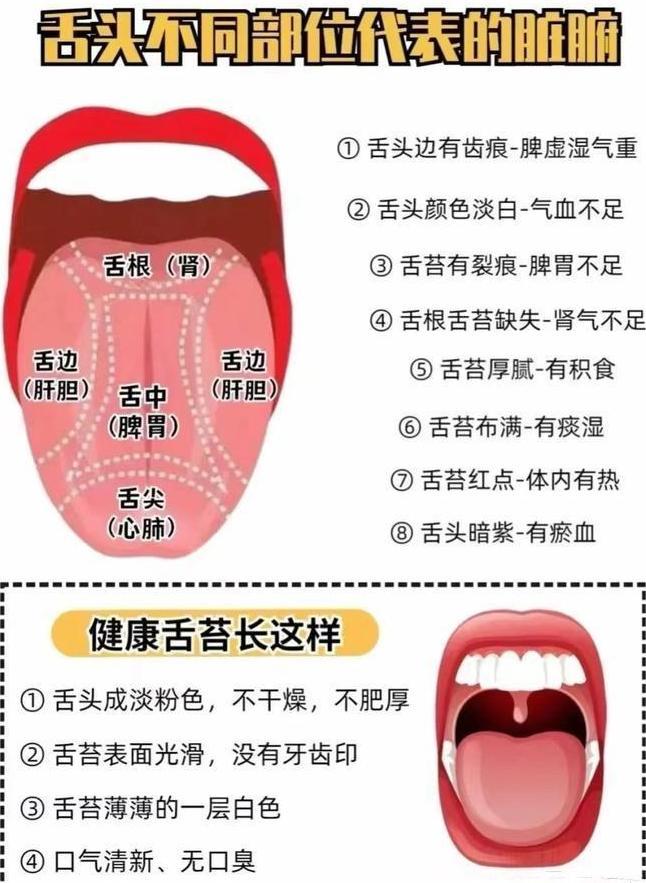 脾虚,血虚,阴虚的症状及辨证 - 知乎