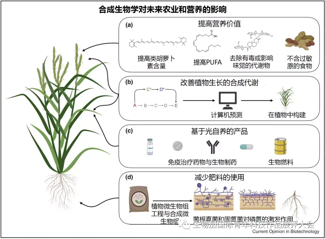 这个领域正在掀起新浪潮你对它了解有多少