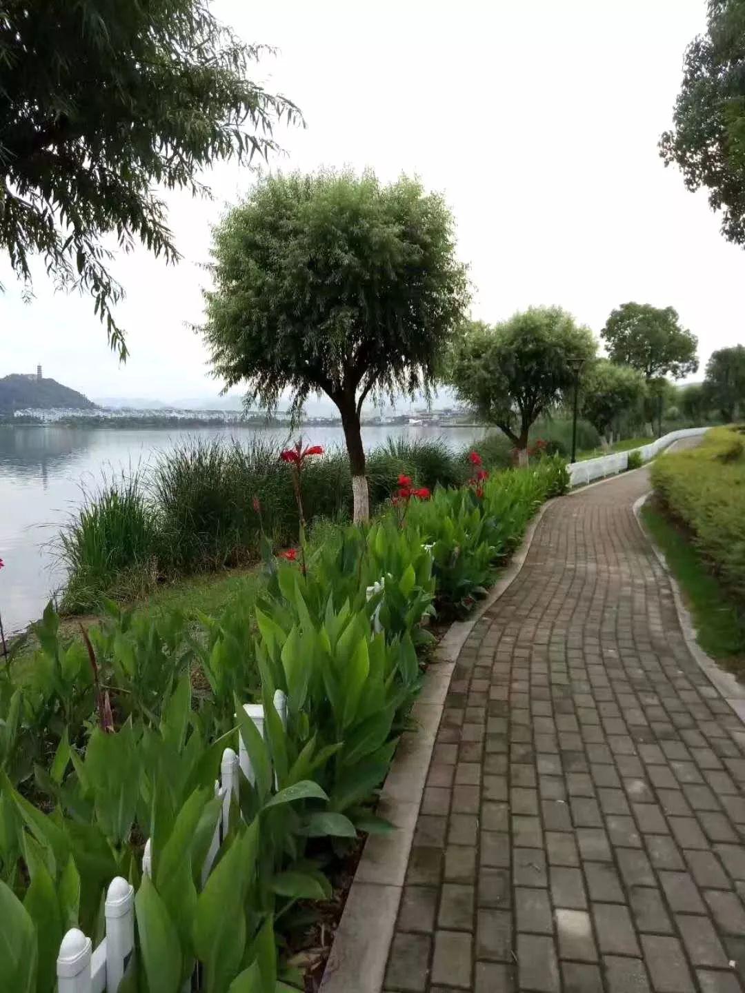 跑步路线039浙江台州临海市灵湖公园