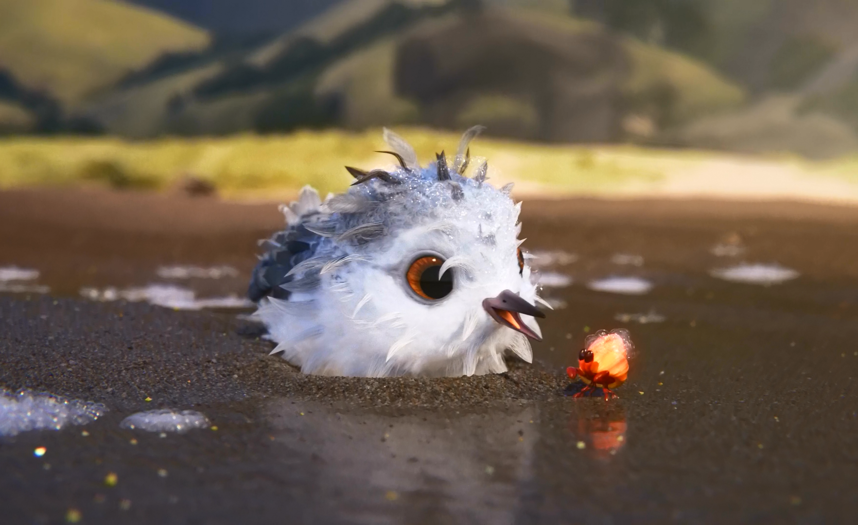 89届奥斯卡最佳动画短片《piper·鹬》 - 知乎