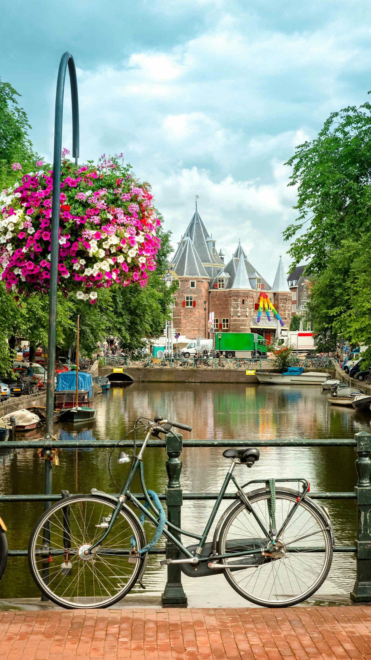 你最喜欢的一张手机壁纸? - 知乎