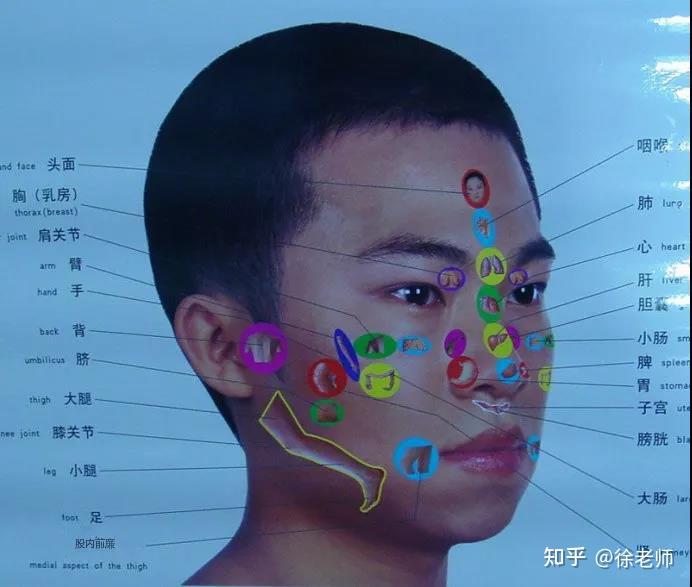 收藏这张人体全息图穴位不用找
