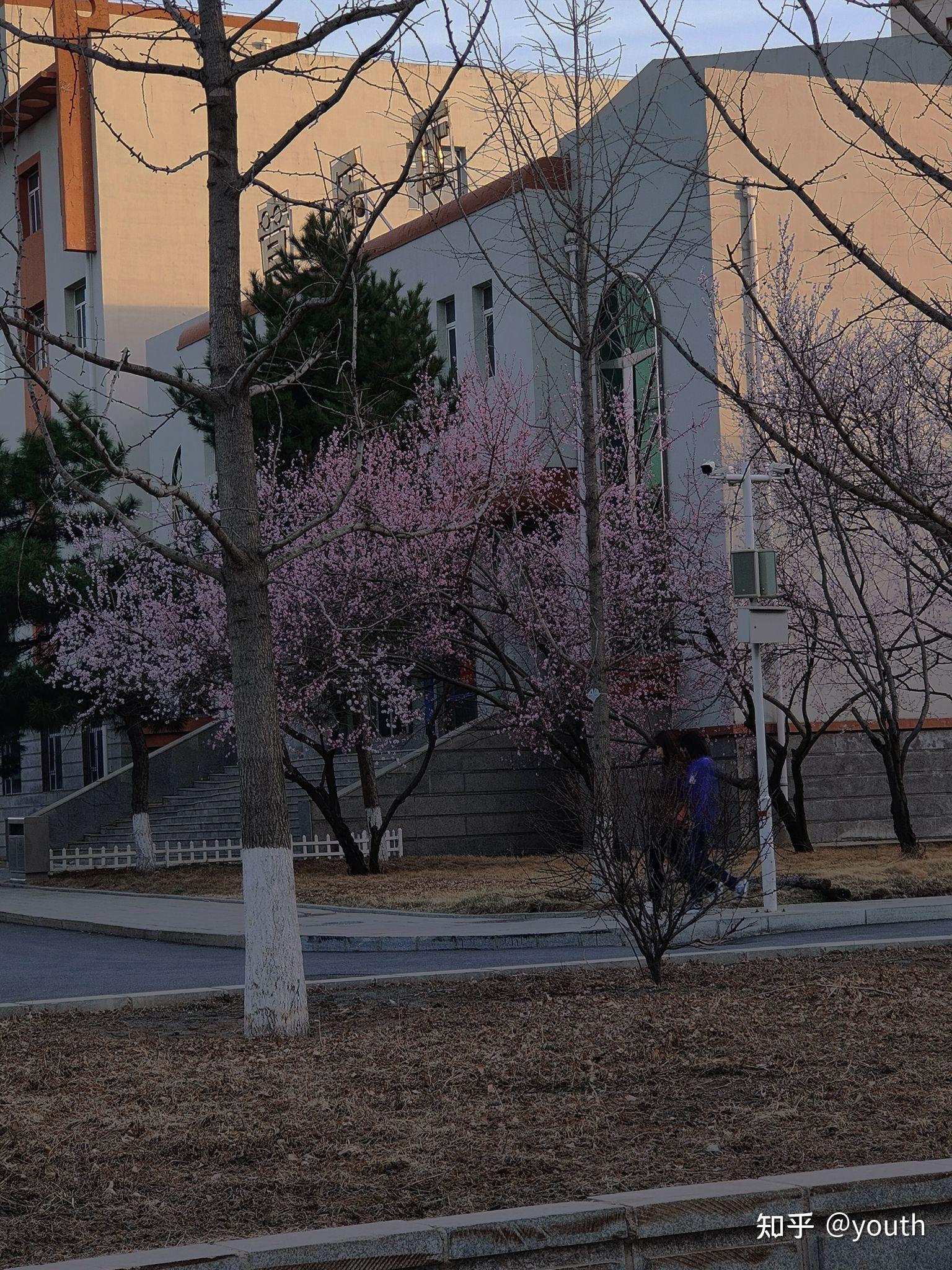 吉林师范大学的宿舍条件如何校区内有哪些生活设施