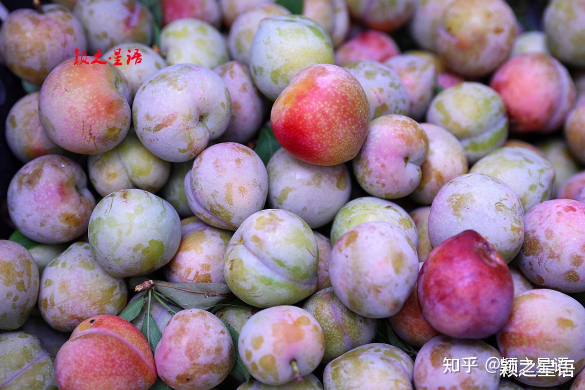 桃形李起源地,书圣故里,桃李风味酸酸甜甜好味道 - 知乎