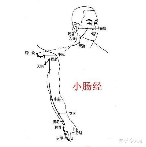 心与小肠是相表里的.
