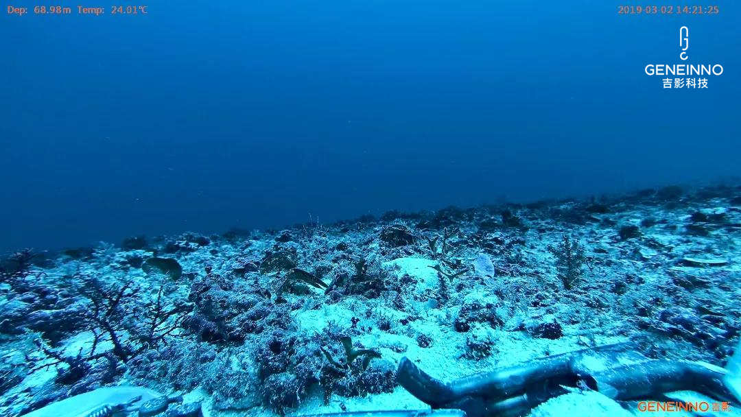 南海海底70米水深的海底沙漠图片拍摄自吉影t1水下机器人在探测中