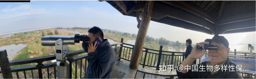考察观鸟绿会专家郭耕于浙江玉环漩门湾国家湿地公园