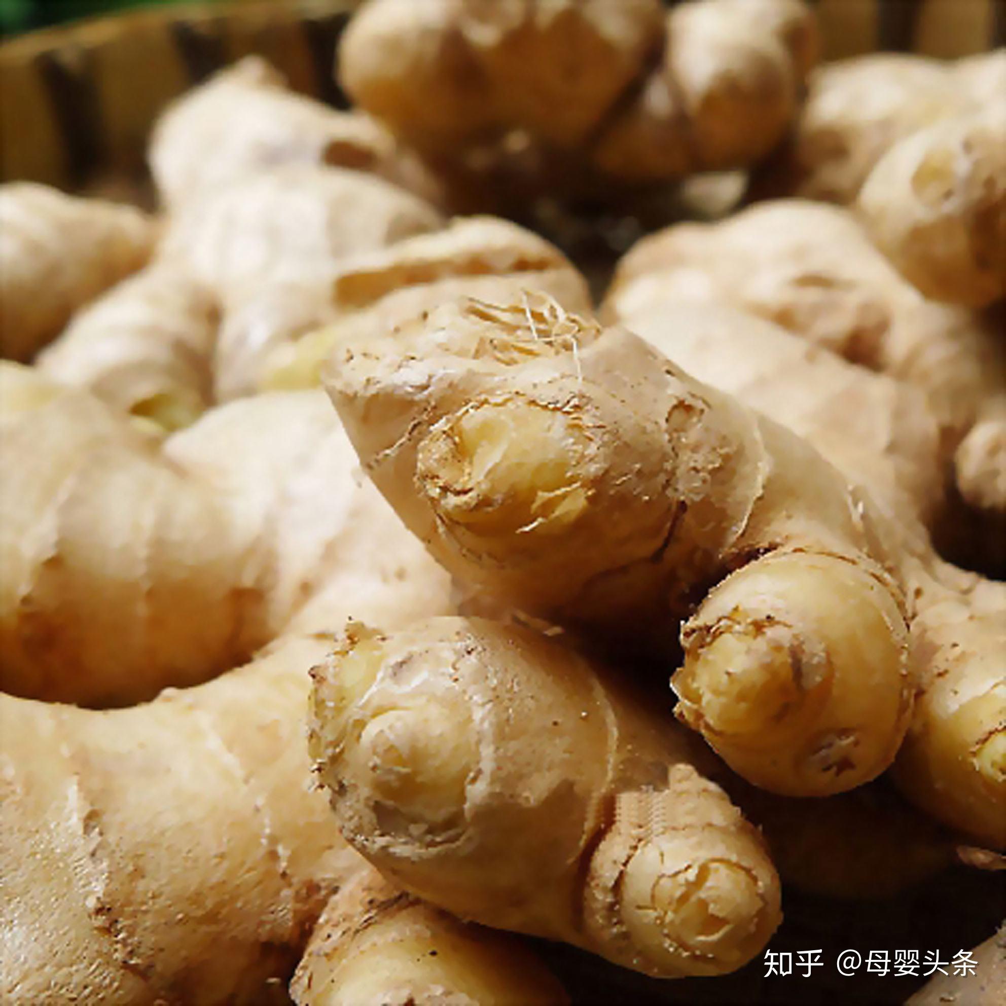 孕妇能吃生姜吗 zhuanlan.zhihu.com