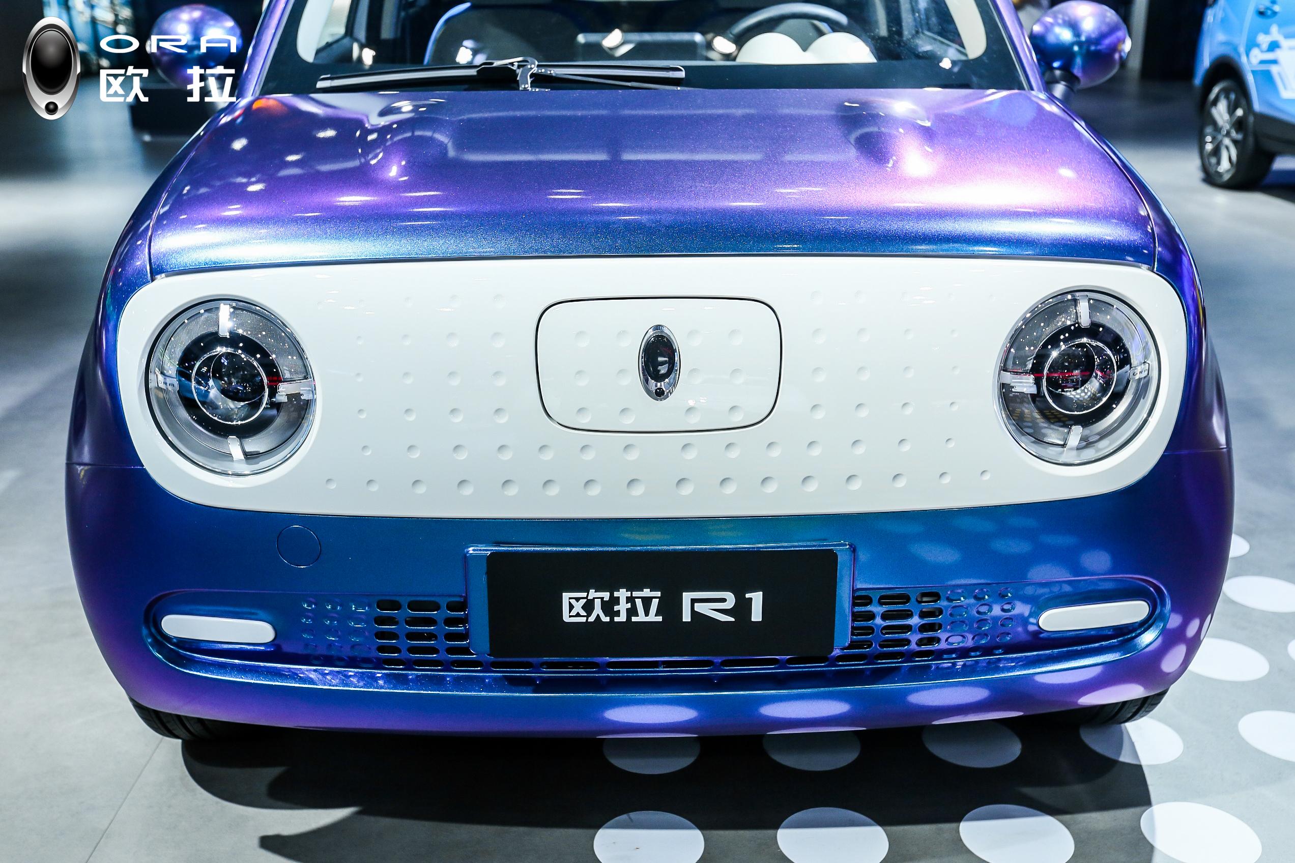 如何评价长城汽车旗下新能源汽车品牌欧拉r1预售价补贴后618758万元