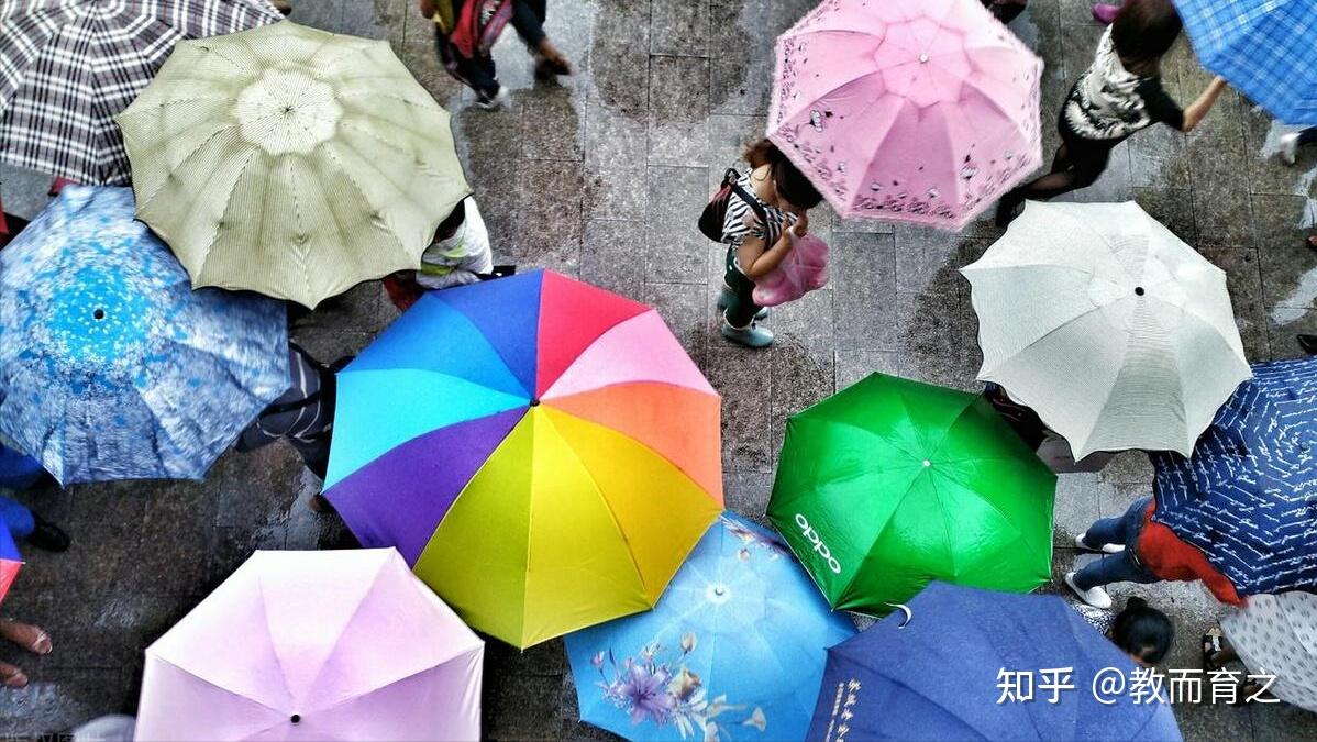 前有学生淋雨等开门,后有禁止打伞入校!为何学校如此不通人情? - 知乎