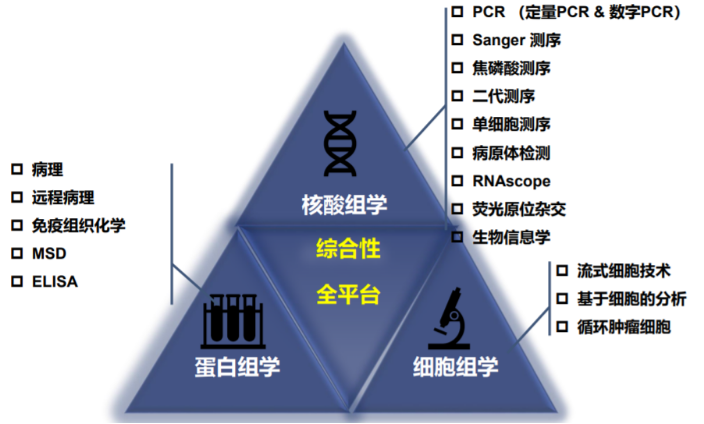 制药人转行精准医疗张亚飞如何带领迈杰转化医学切入百亿级伴诊市场