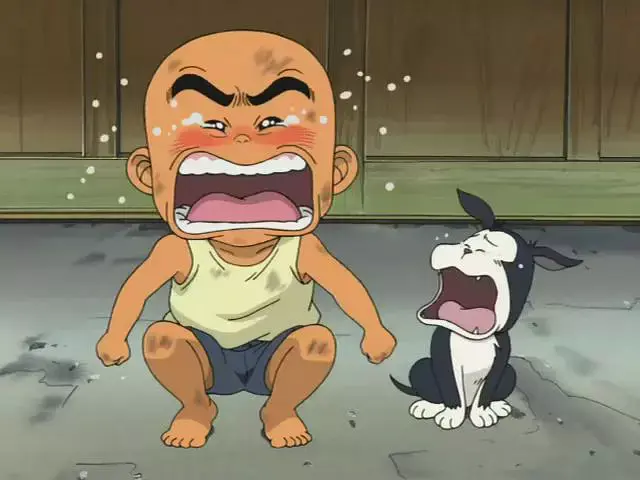 如何评价花田少年史