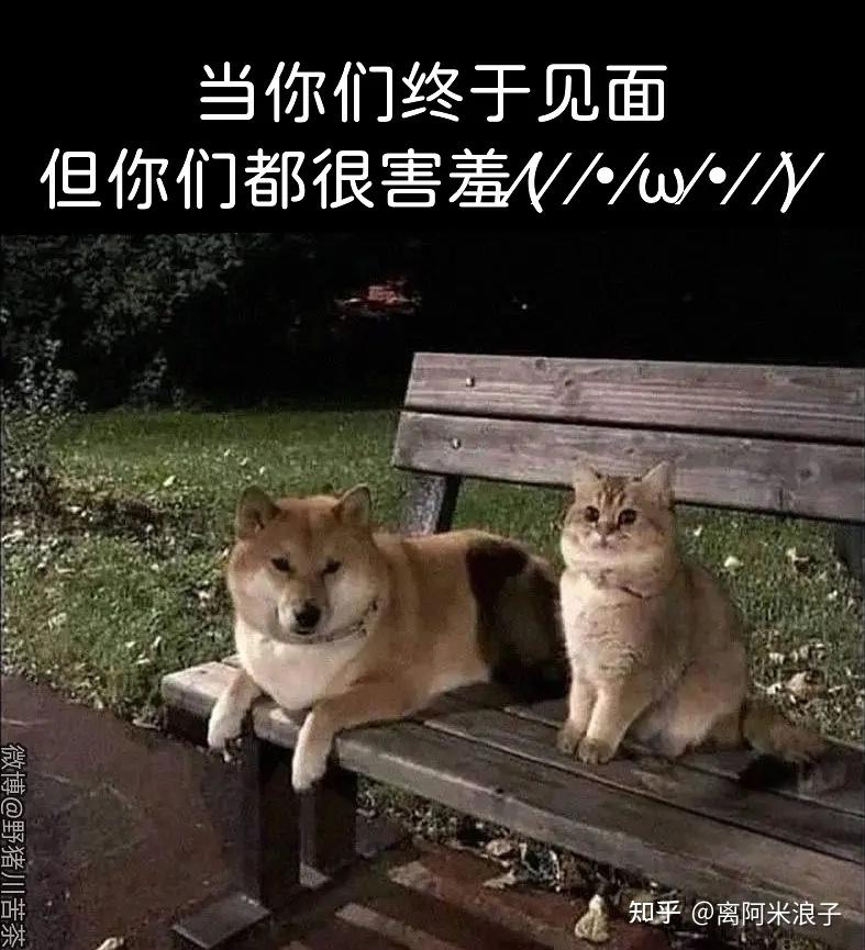 有没有那种一看就笑死的表情包或梗图? - 知乎