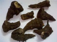 这三味毒性超大的中药,遇见要躲开哦!