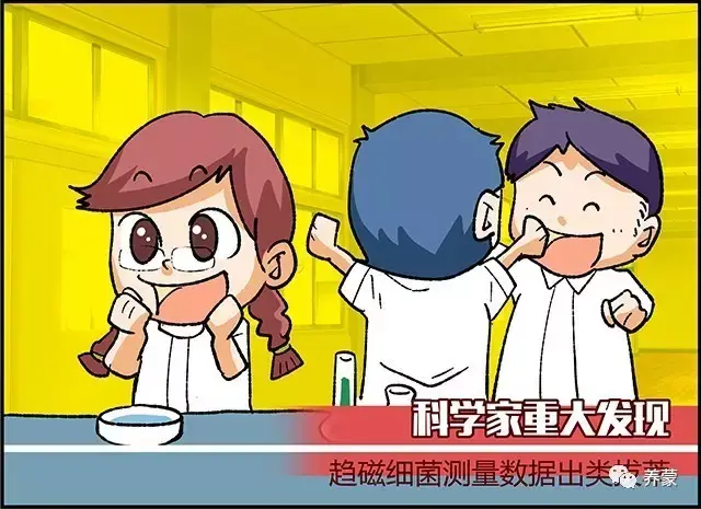 那么趋磁细菌为什么这么运动呢?