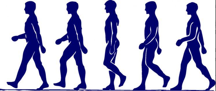 早上快走五公里 晚上快走五公里 能瘦吗?