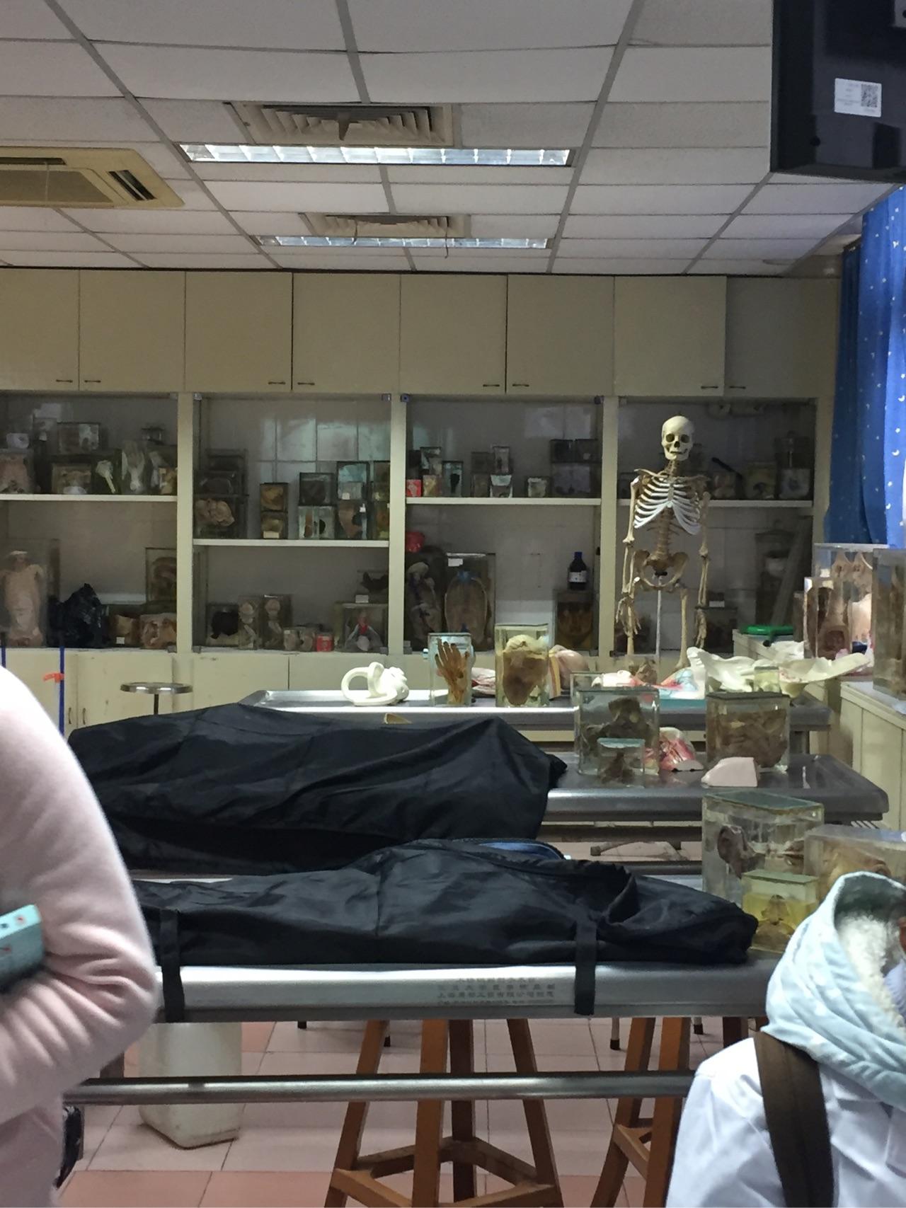 医学院的解剖教室是什么样子