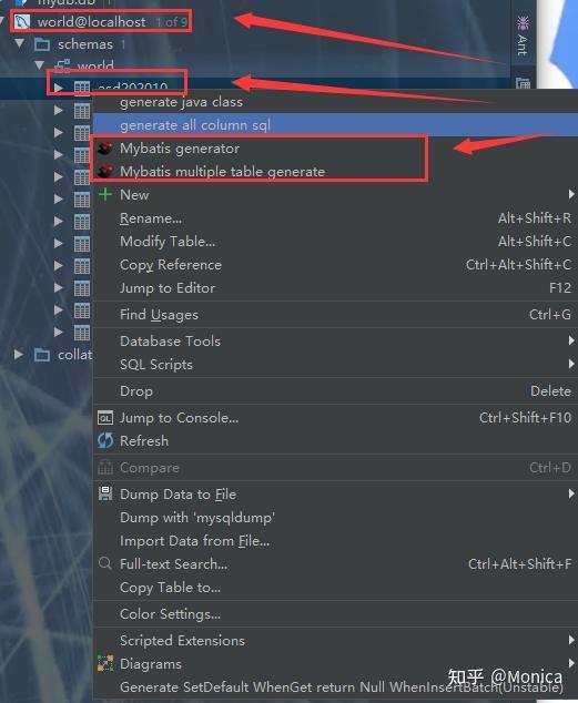 MybatisCodeHelperPro 插件的使用 知乎