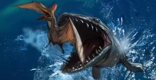 7大远古海洋霸主现在的虎鲸只能称小弟