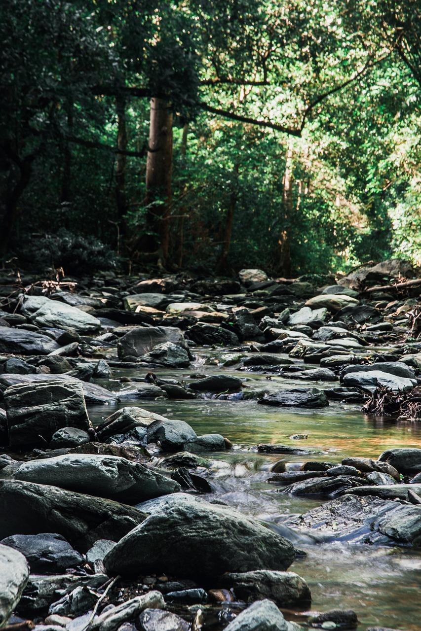 3. 溪悦塘电话咨询