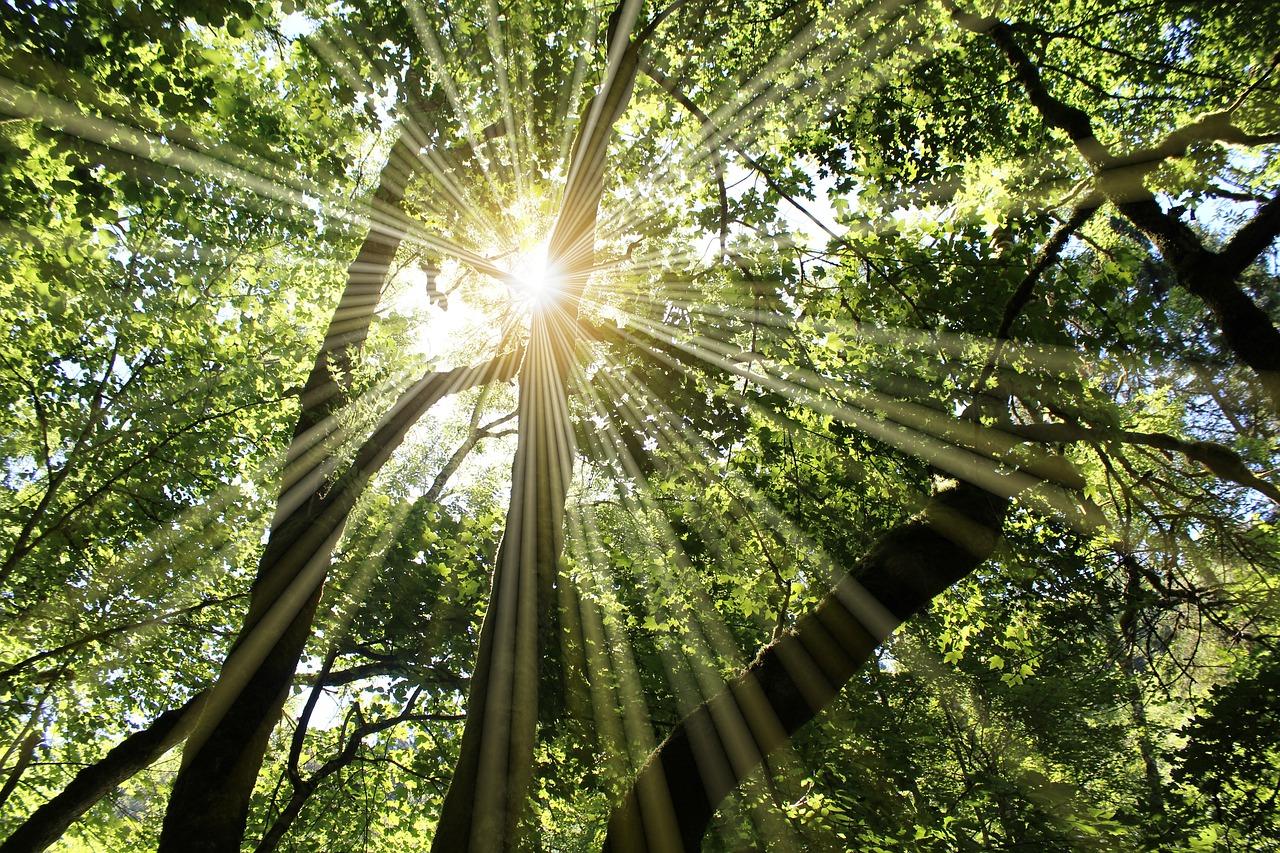 强光探照灯多少钱