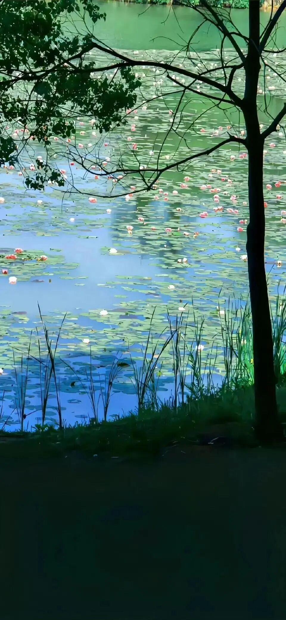 有没有这种画风的卡通壁纸,好可爱!