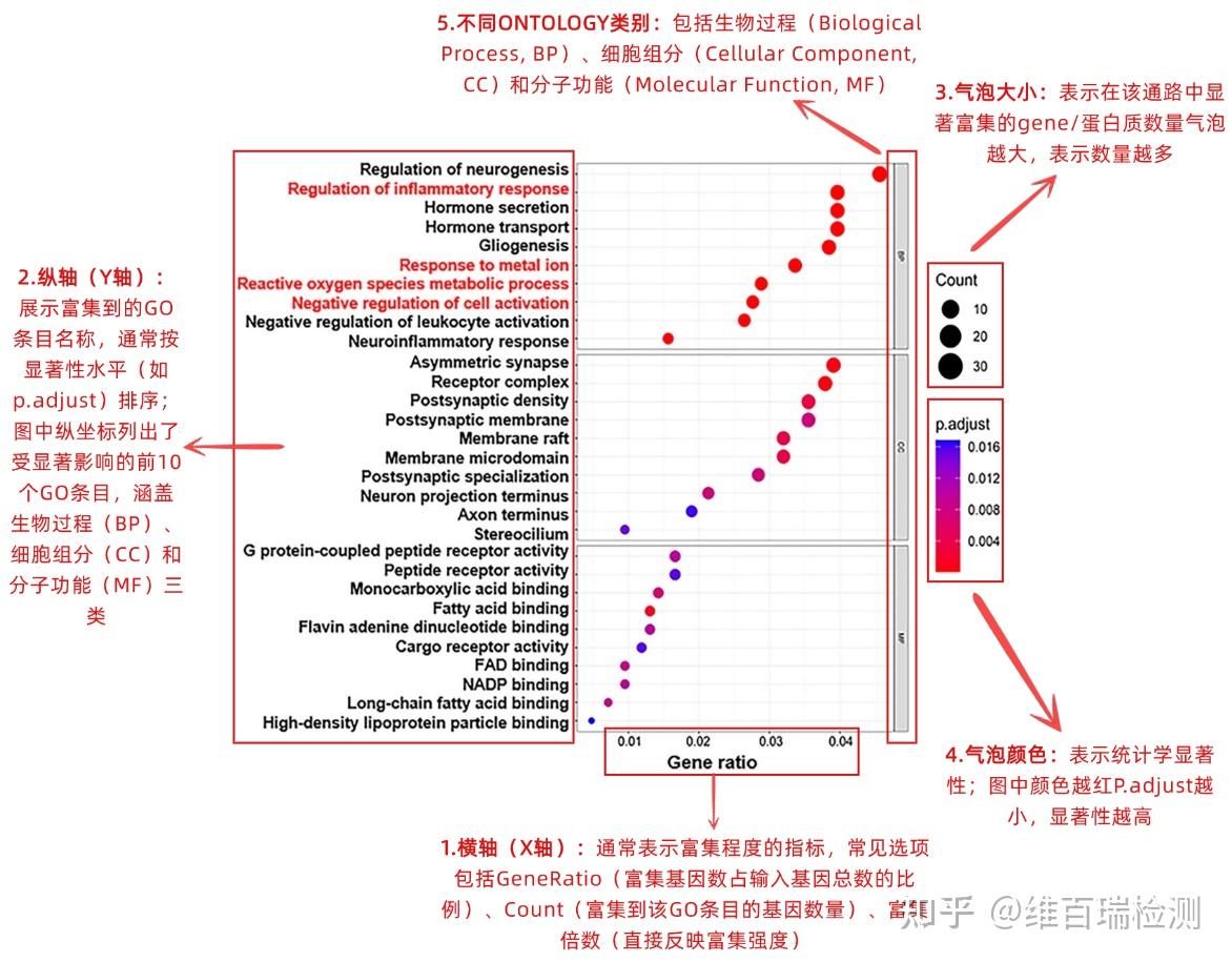GO简介及GO富集结果解读 - 知乎