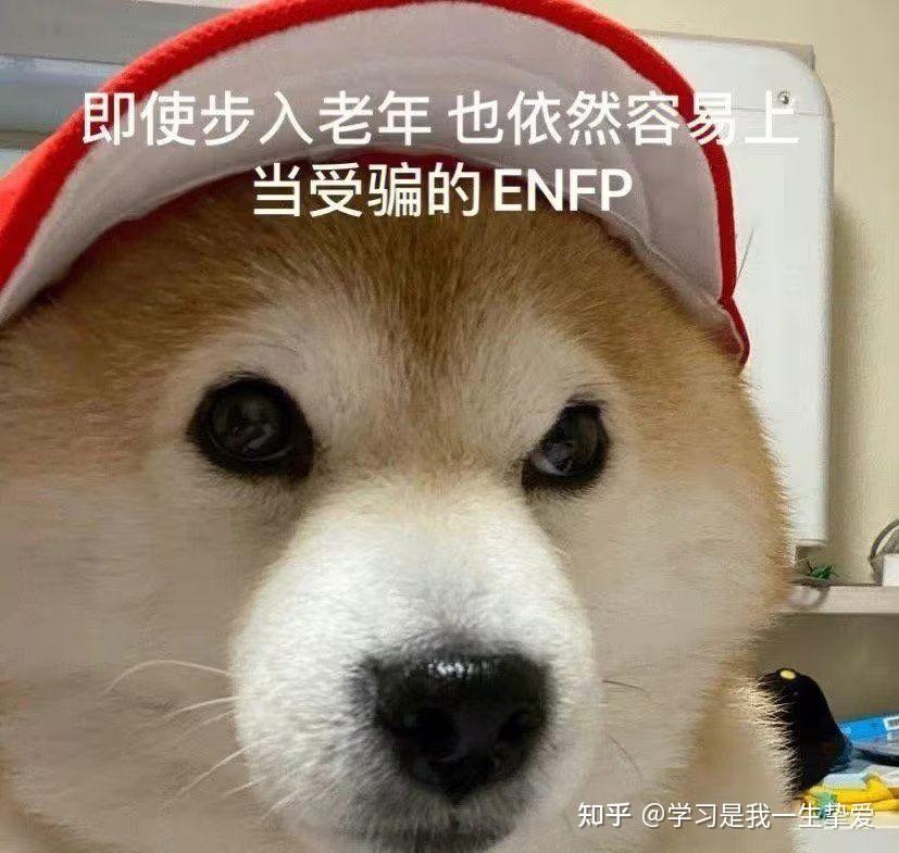 有哪些ENFP的梗图？ - 知乎