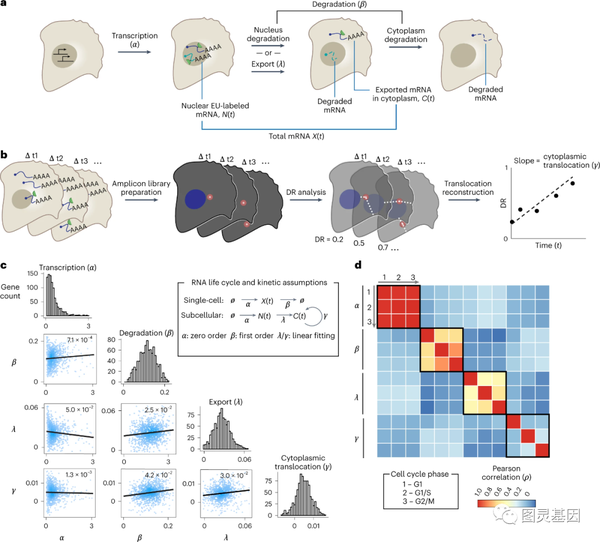 Nat methods mit rna 