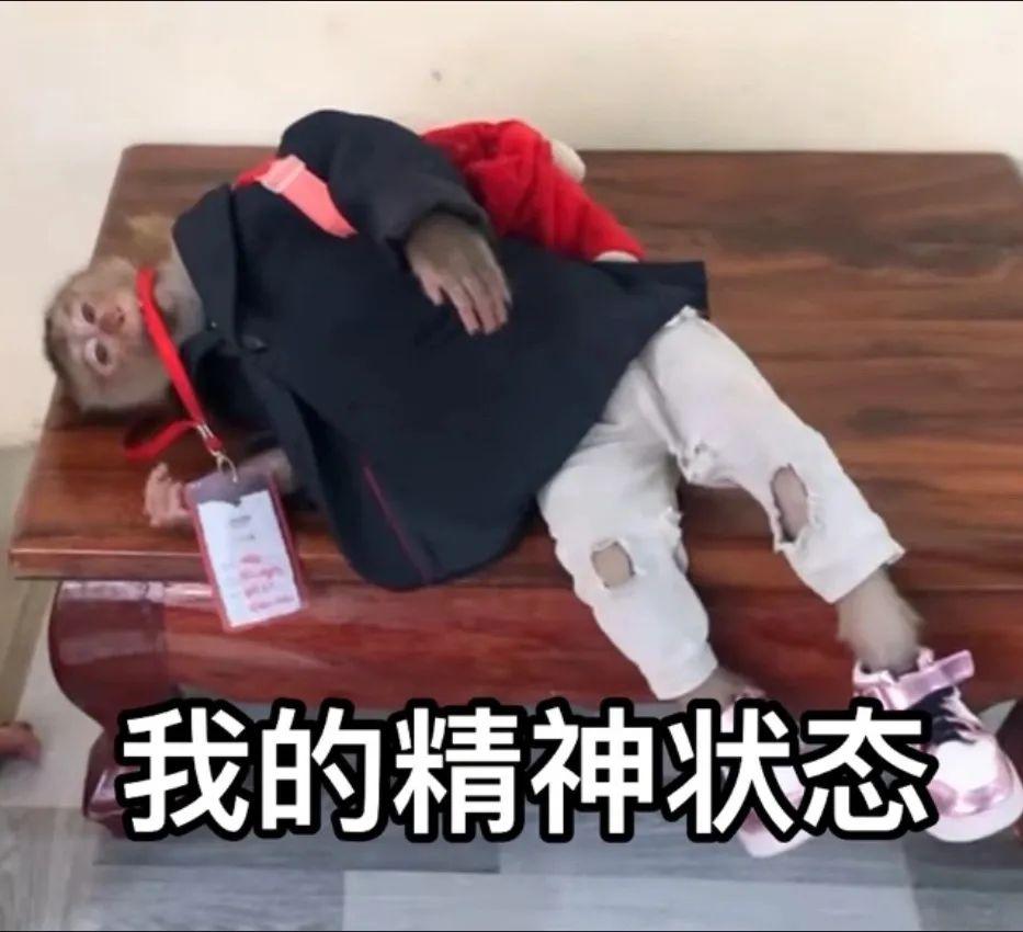 有没有精神状态不正常得发疯表情包? - 知乎