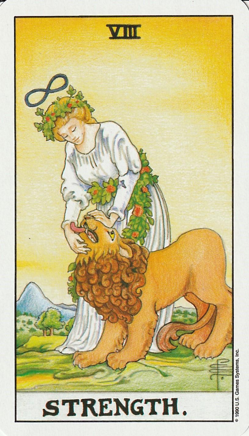 塔罗牌图鉴之8力量