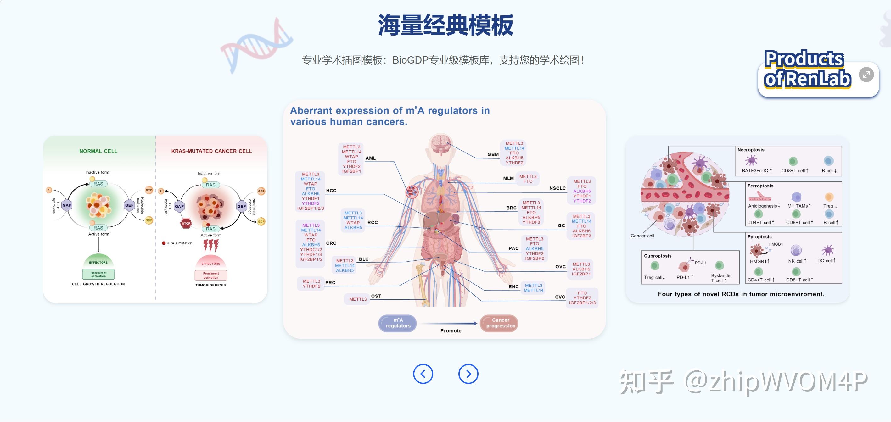 10分钟搞定SCI级机制图?这9款工具,让你的论文配图从“被拒”到“秒过” - 知乎