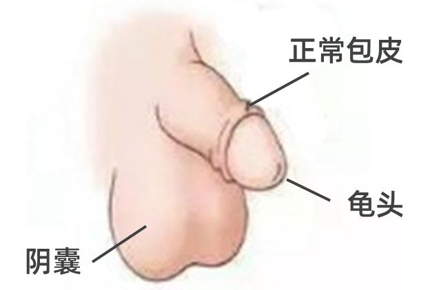 v2-e4713b39567f3d89f45bbc4e5acb56c0_r.jpg