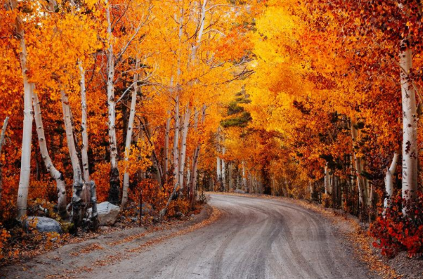 描写秋冬景色优美的句子 领略美如画的秋冬季节