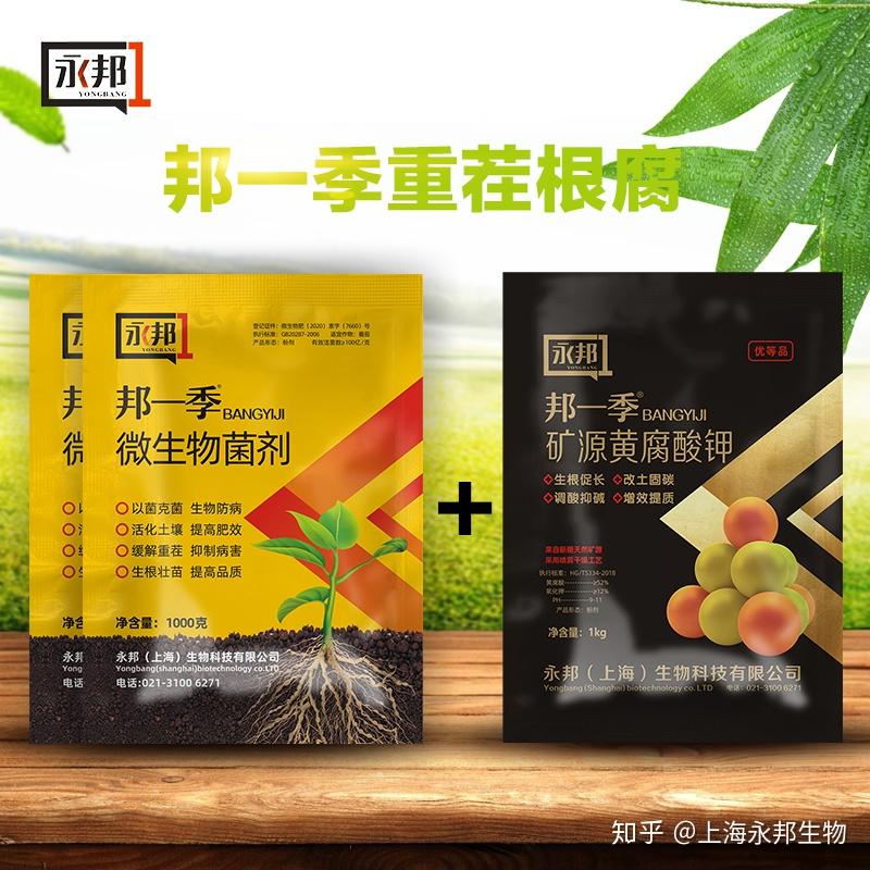 2,藥劑防治:底肥必須施入充分腐熟的有機肥,增施磷鉀肥,避免肥料施用