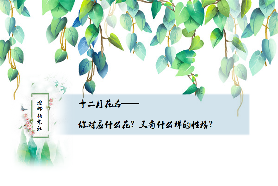十二月花名 你对应什么花 又有什么样的性格 知乎 十二月花名 你对应什么花 又有什么样的性格 知乎