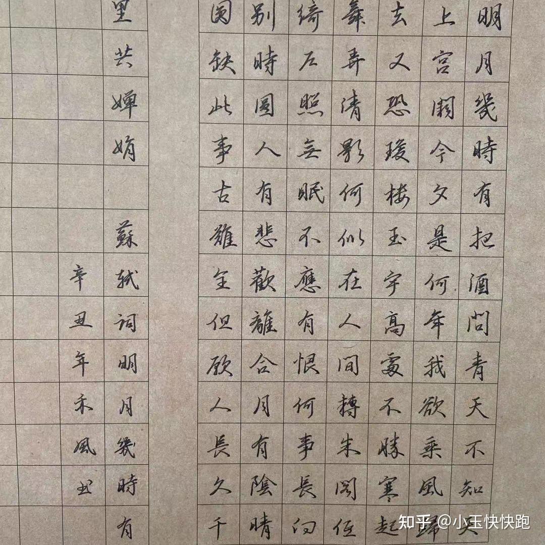 的那些事儿~河小象团队的点评辅导老师有来自中国硬笔书法家协会会员