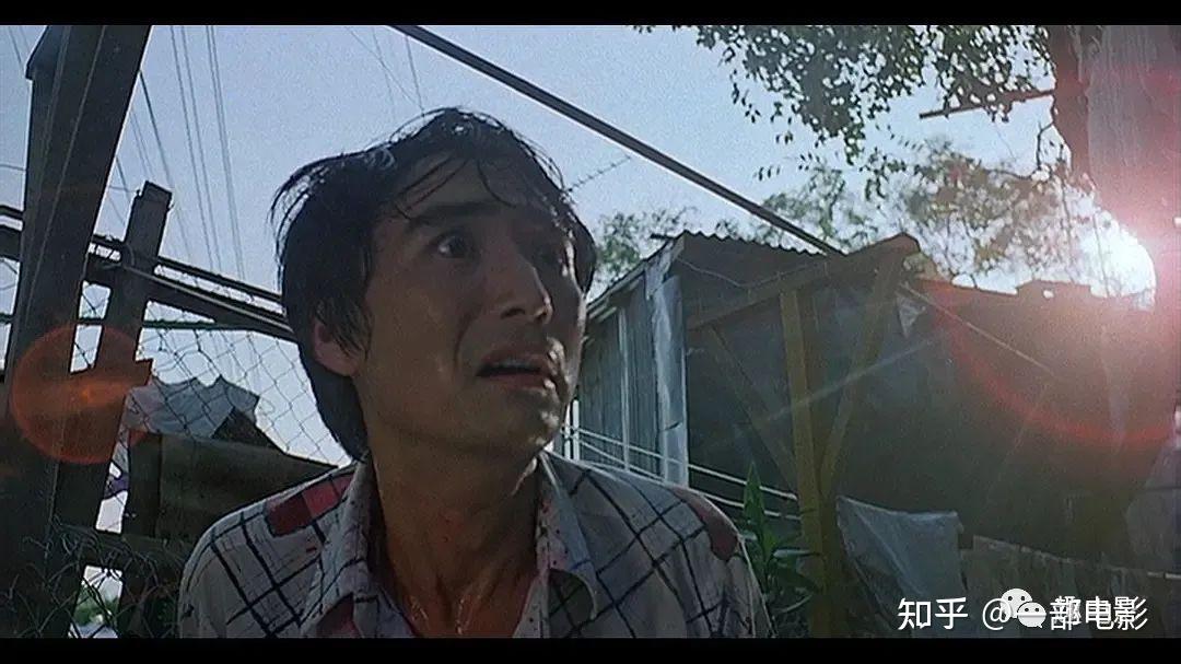 比骗去缅北还要惨,残酷,变态的经典电影《打蛇》